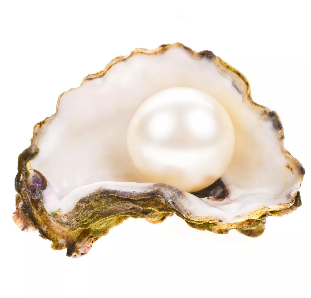 640.webp.jpg