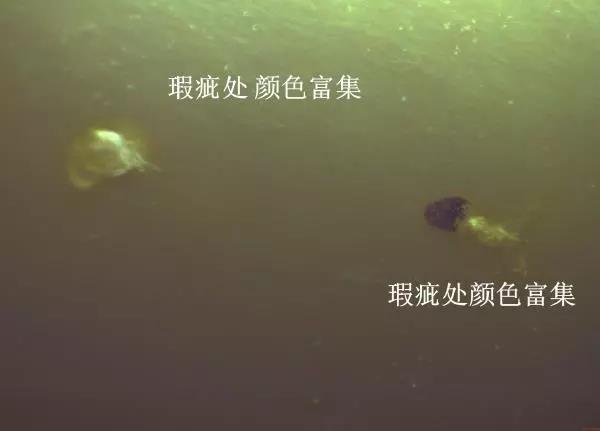 微信图片_20181120090832.jpg